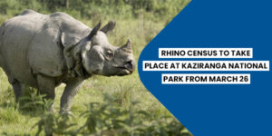 Read more about the article Rhino census to take place at Kaziranga National Park from March 26