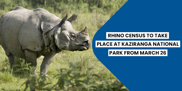Read more about the article Rhino census to take place at Kaziranga National Park from March 26